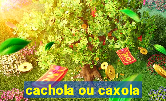 cachola ou caxola